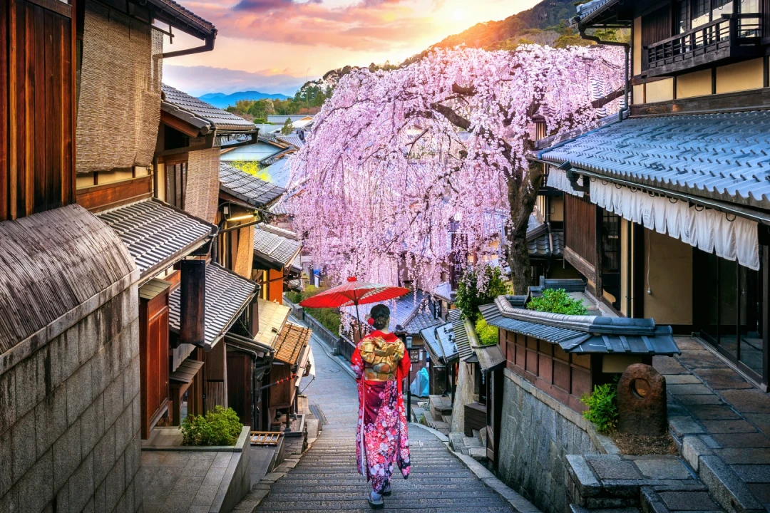 Tour Image